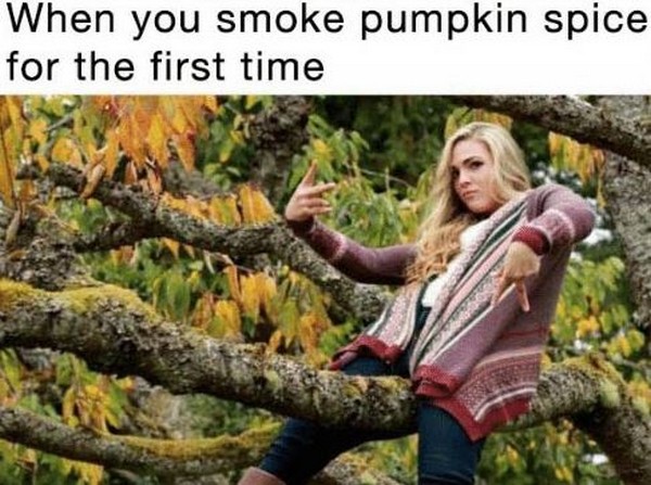 18 Pumpkin Spice Latte Memes