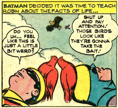 Batman And Robin Awkward Moments