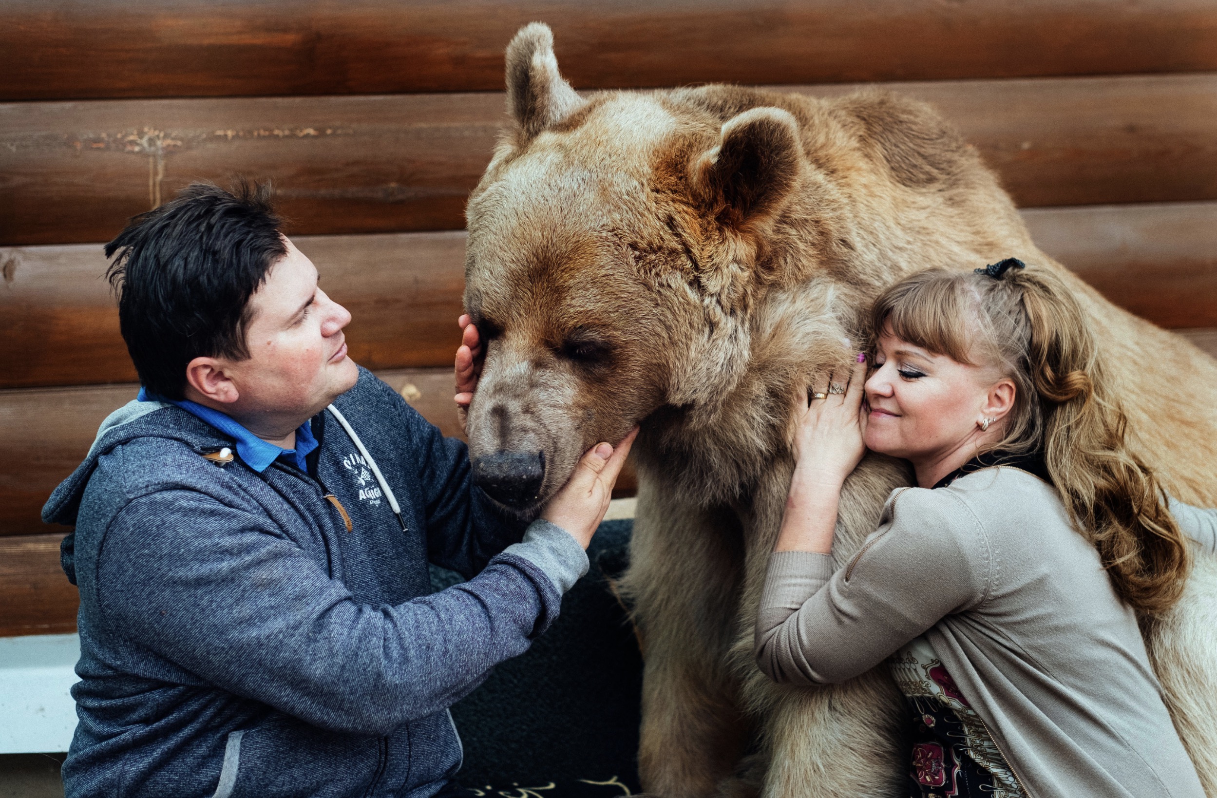 pet grizzly bear