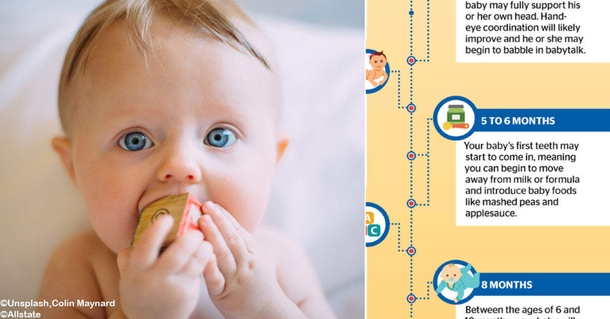 This Infographic Is a Guide to Your Baby's First Year