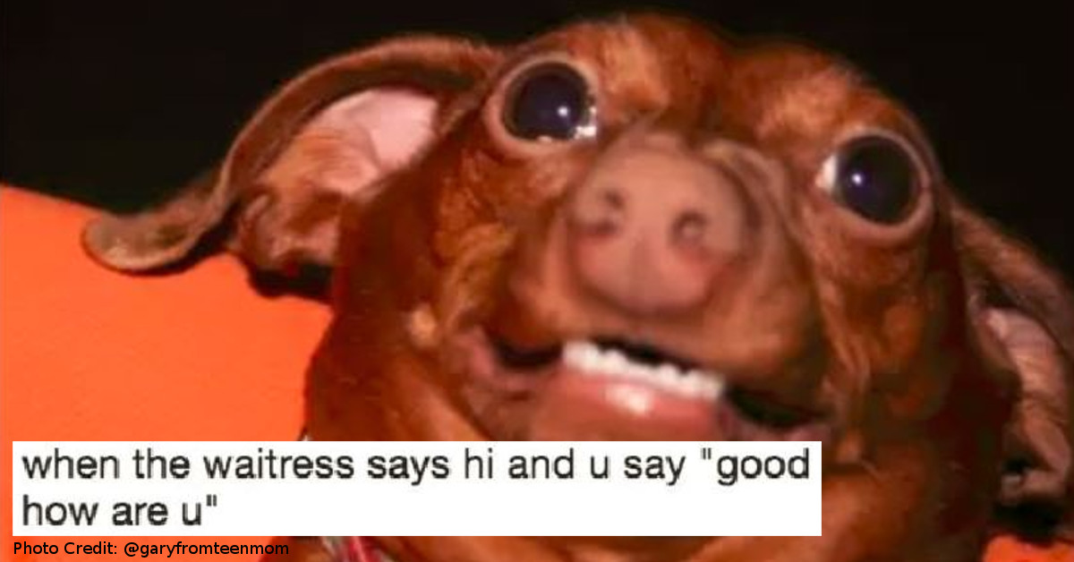 Only the Most Awkward Humans Will Laugh at These 12 Memes