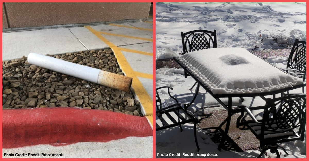 12+ Photos That Will Trick the Eye and Baffle the Mind