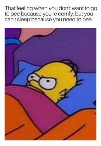20 Memes for Insomniacs to Scroll Through Awake in Bed