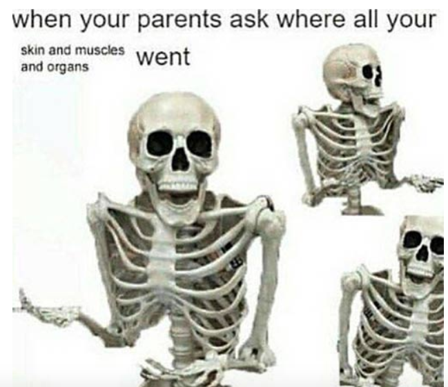 10+ Spooky Halloween Memes Just for You