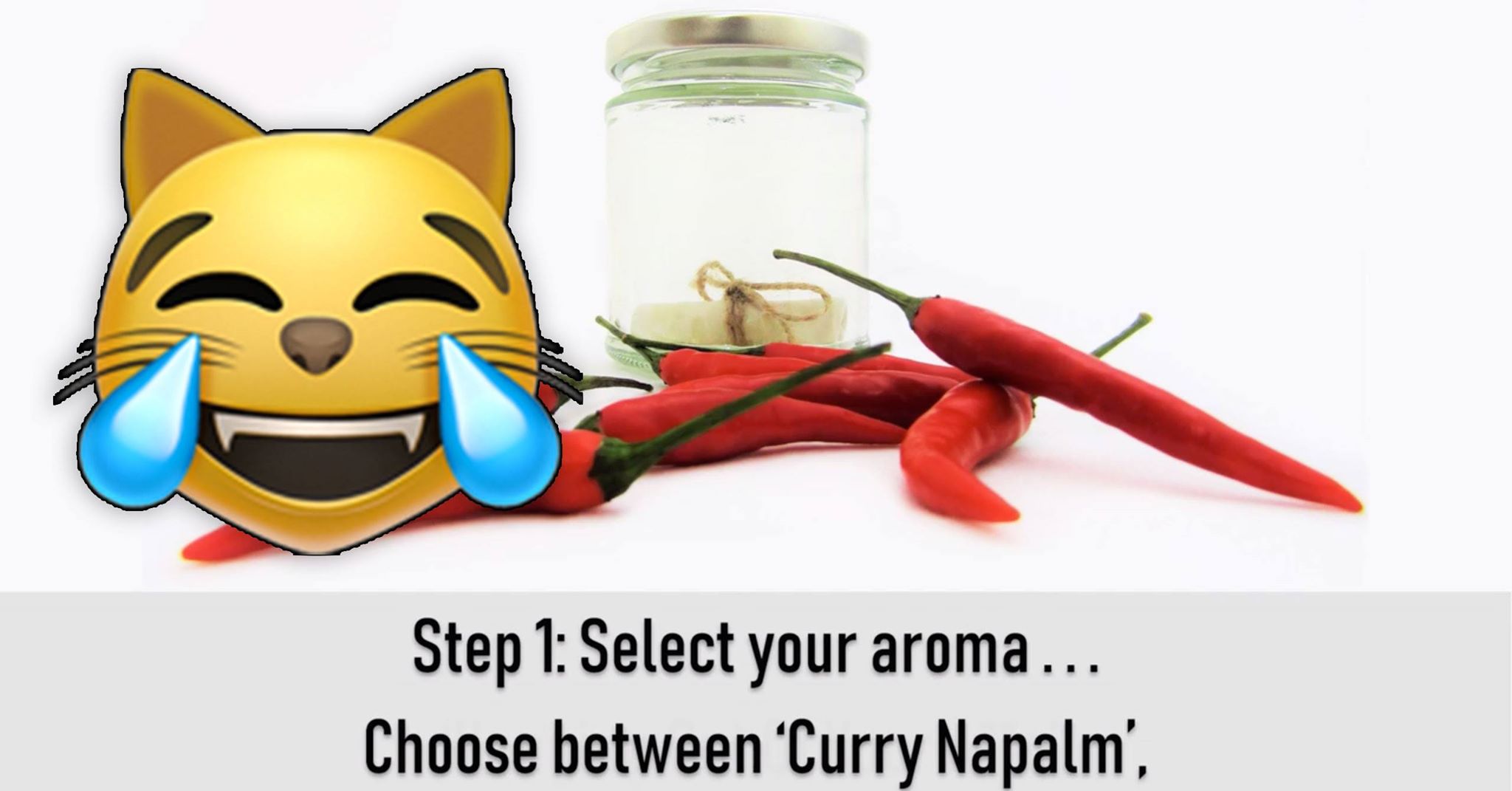 Need A Holiday Gift Idea? Send Someone A Fart In A Jar