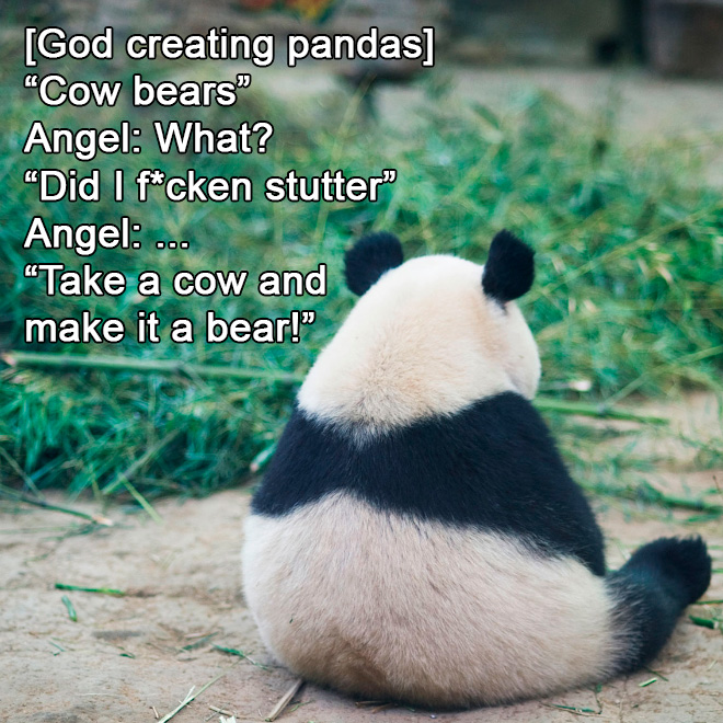 17 Examples of How God Created Animals...Maybe