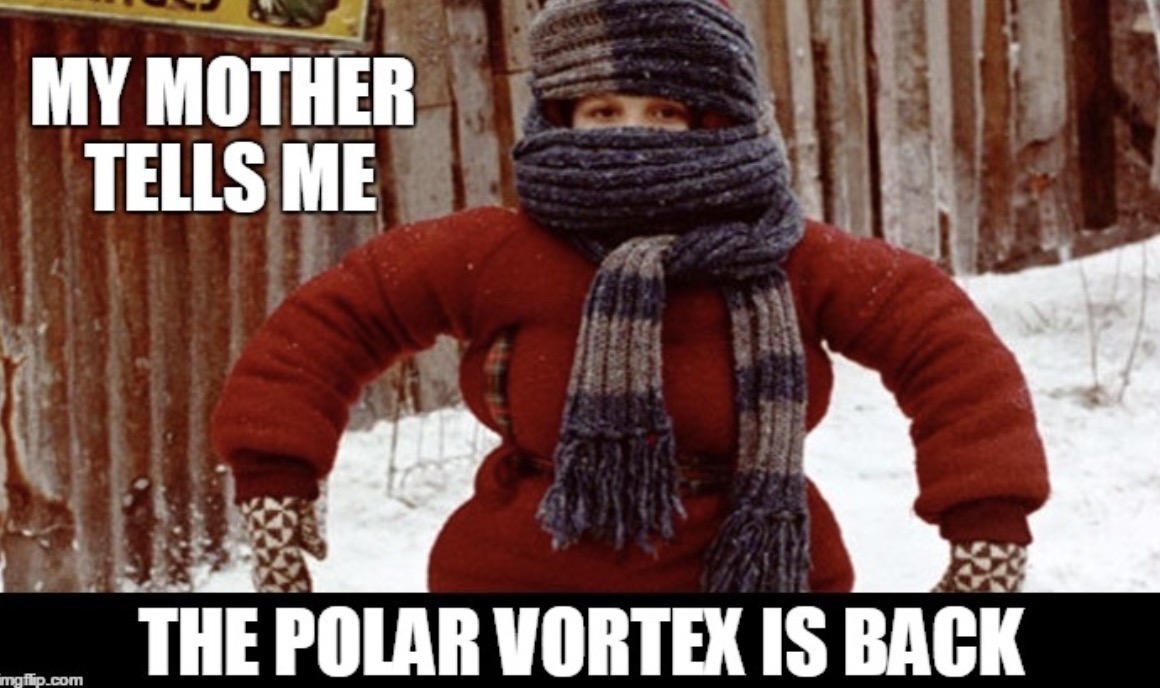 15 Memes To Keep You Warm During The Polar Vortex