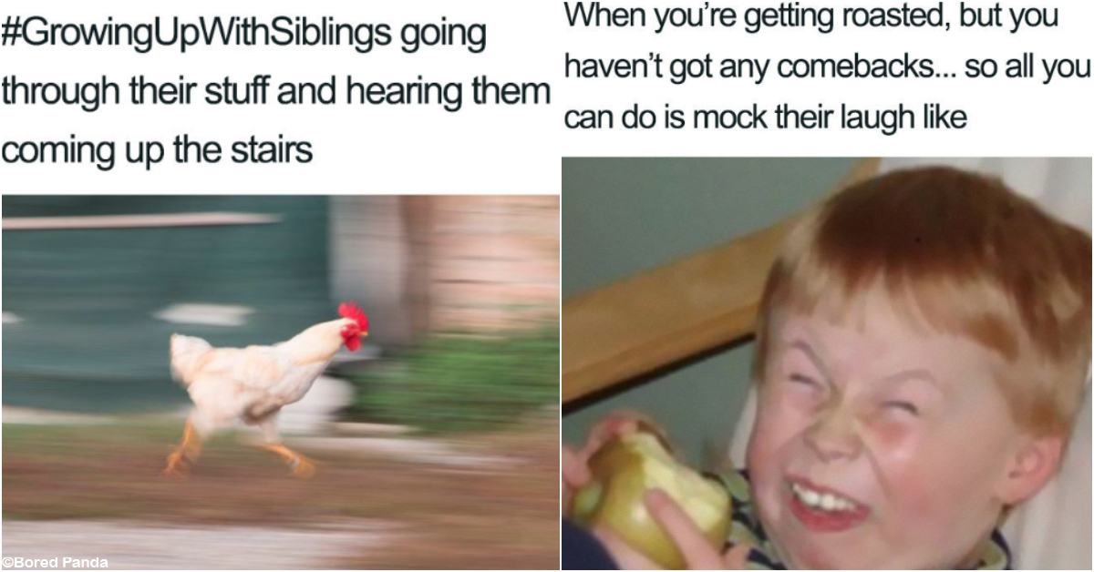 20 of the Best Sibling Memes of All Time