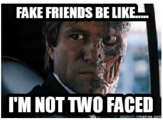 fake friends someecards