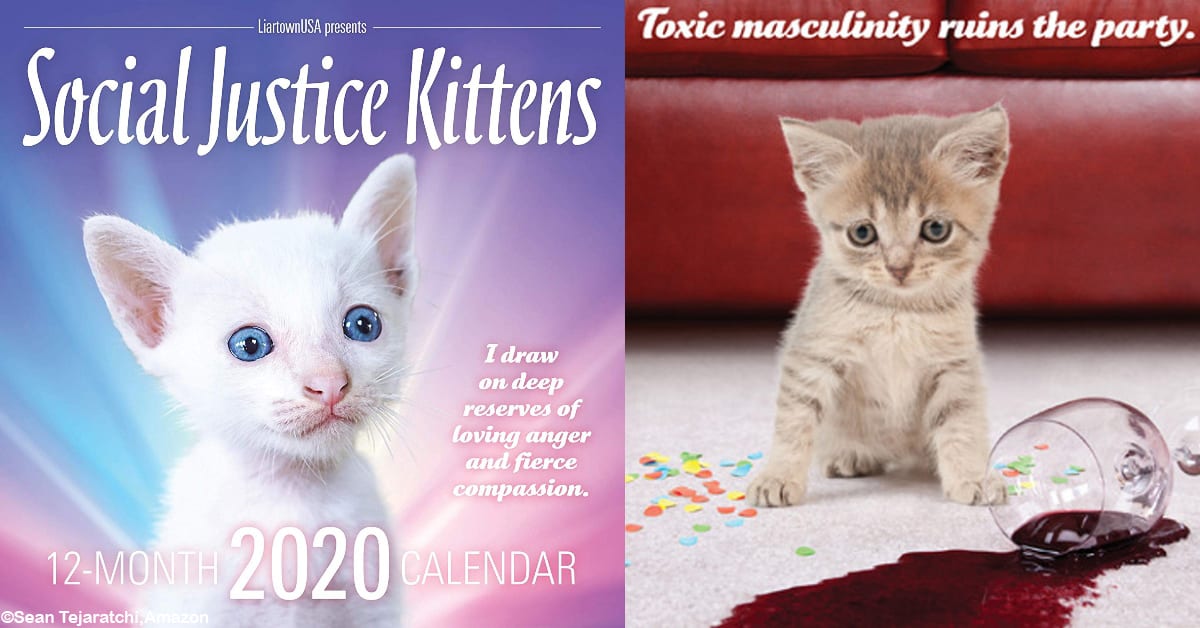 The 2020 Social Justice Kittens Calendar Is Pretty Glorious