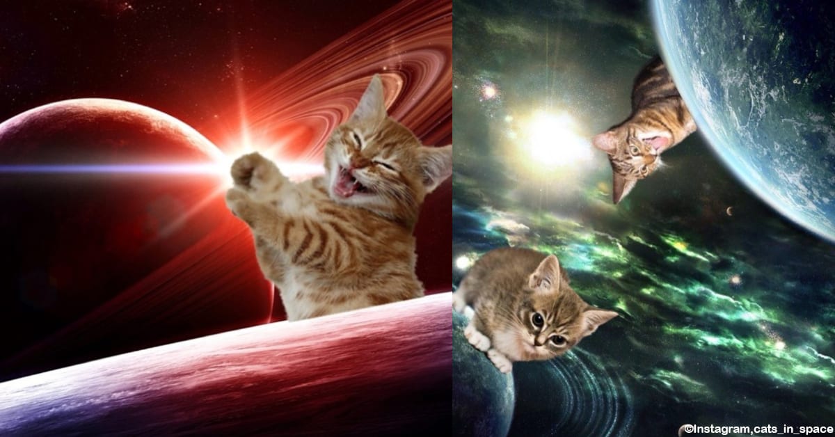 Enjoy These Totally Far out Cats in Outer Space