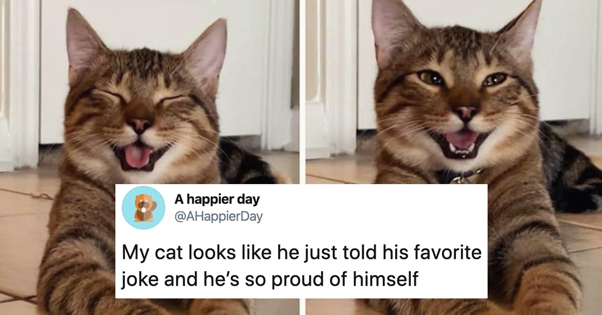 13 Hilarious Memes & Tweets to Get You All Fired Up