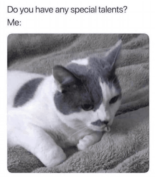 Cats Are Hilarious Weirdos and Here Are the Memes to Prove It