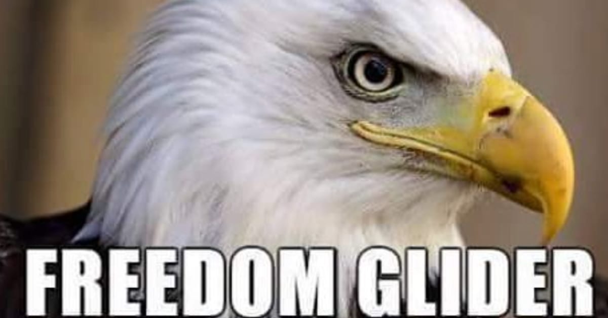freedom eagle meme