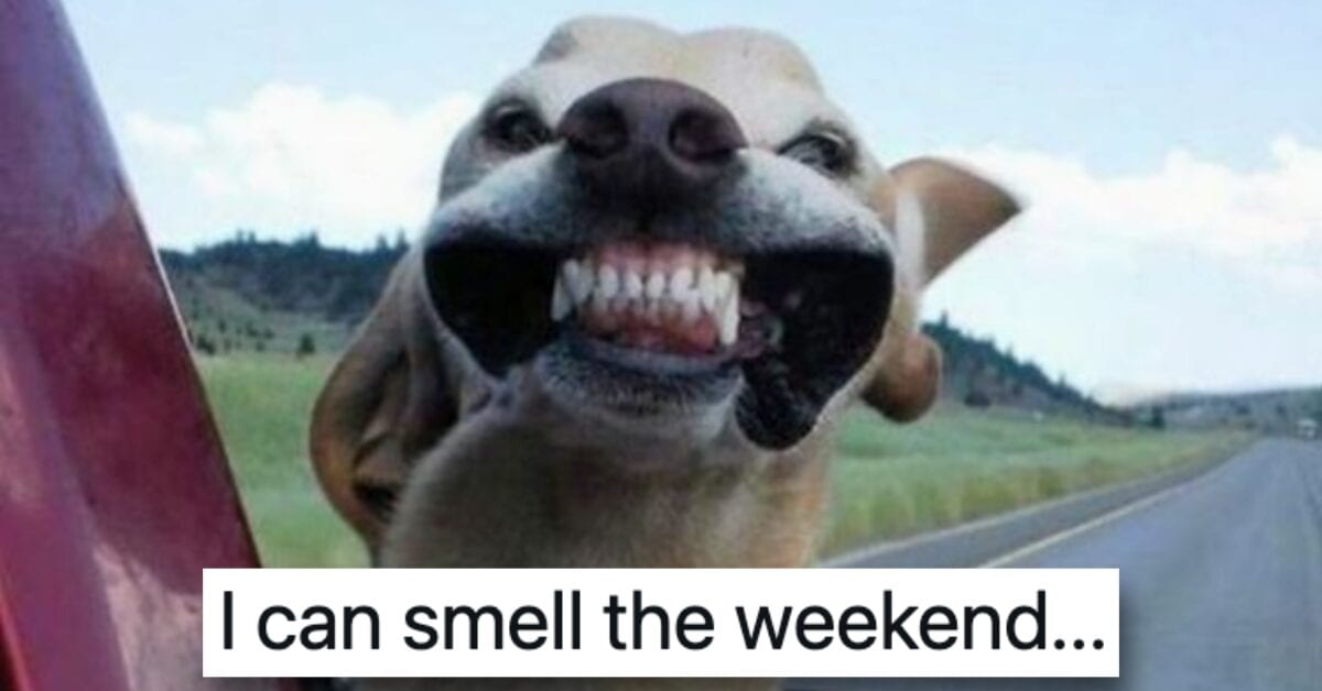 Have a Few Laughs on Us With These Funny Memes About the Weekend