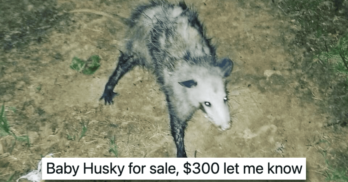 Crazy Craigslist Posts That'll Make You Shake Your Head