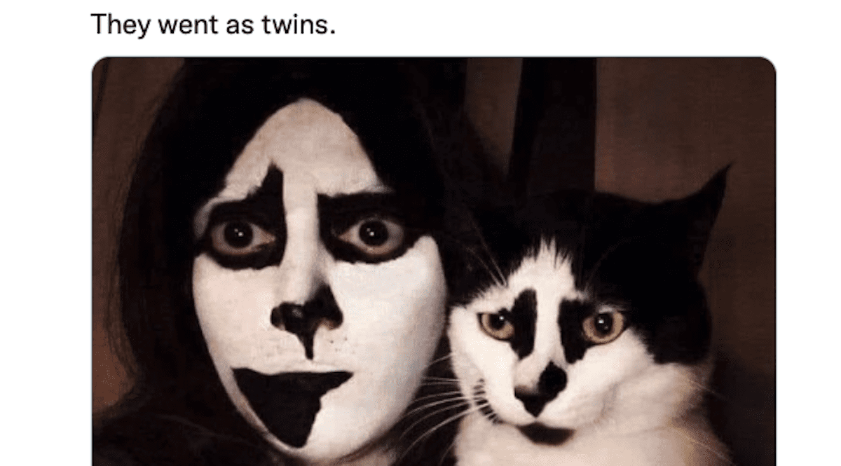 12 Funny Tweets About Our Adorable, Awesome Pets