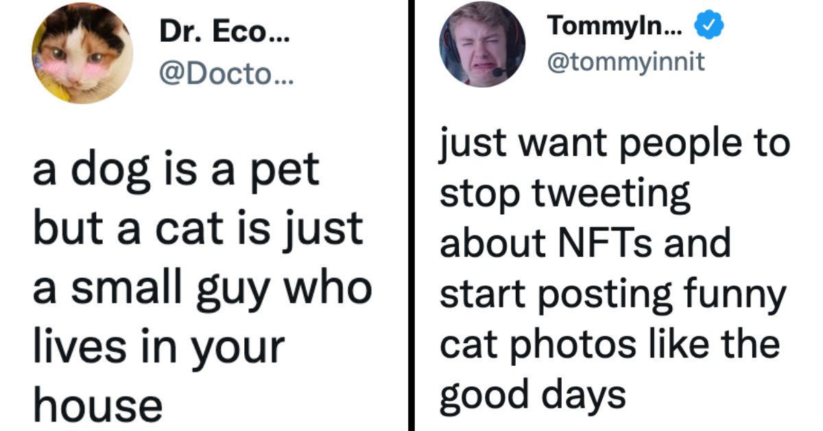 12 Hilarious Tweets About Dogs and Cats